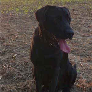 Meet your Posher, Greg